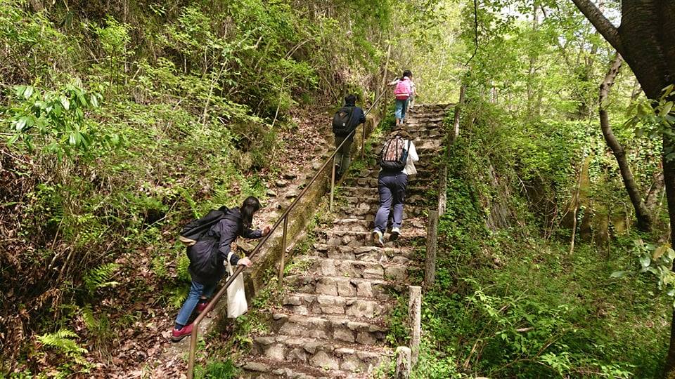 子ども未来通信 　第二号　～コラム　モーリーの森～