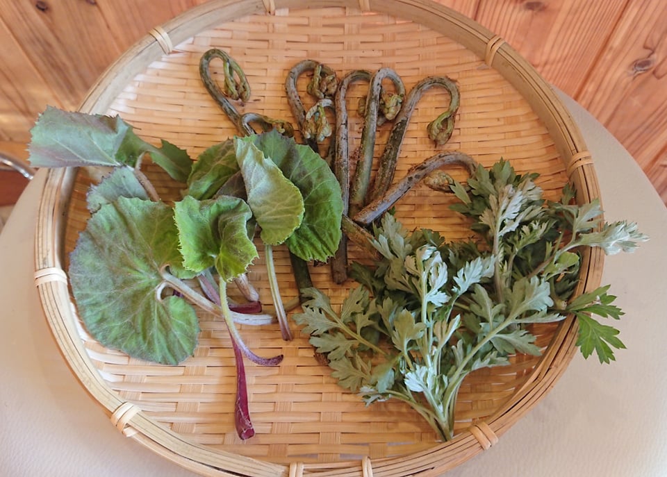 子ども未来通信 第六号　モーリーの森