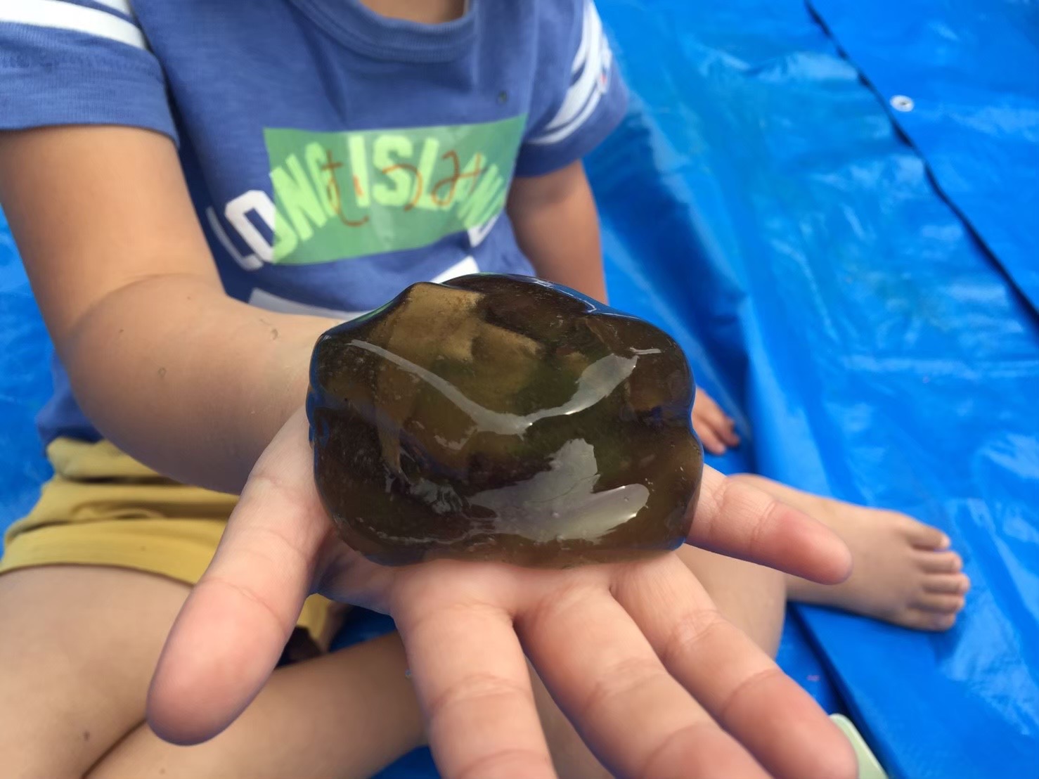 子ども未来通信 第七号　アートワークセラピストのアハハコラム