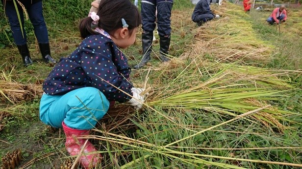 子ども未来通信第12号　モーリーの森