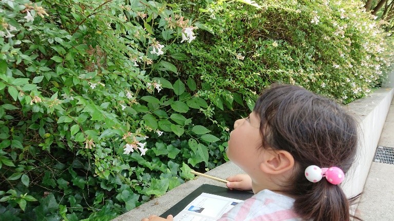 子ども未来通信第20号　モーリーの森