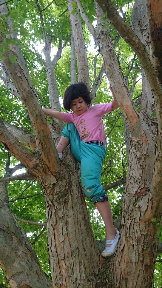 子ども未来通信第24号　モーリーの森