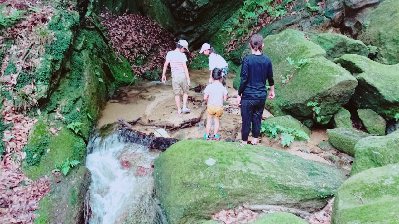 【大阪府・枚方市】モーリーキッズわくわく冒険隊 夏休みスケジュール