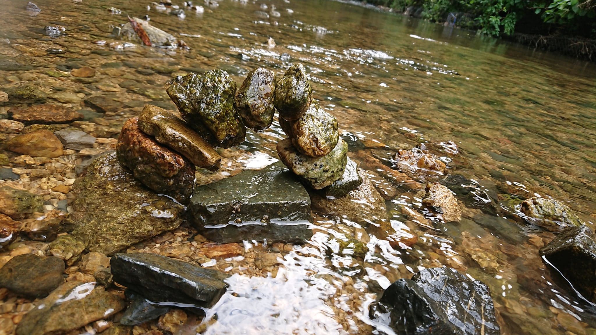 子ども未来通信第26号　モーリーの森