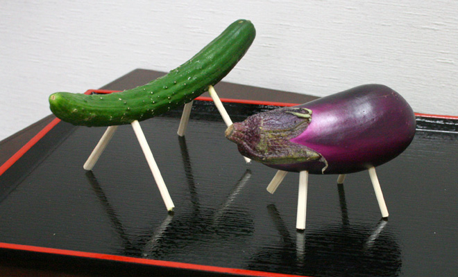 子ども未来通信第28号　モーリーの森