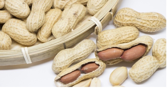 子ども未来通信第32号　モーリーの森