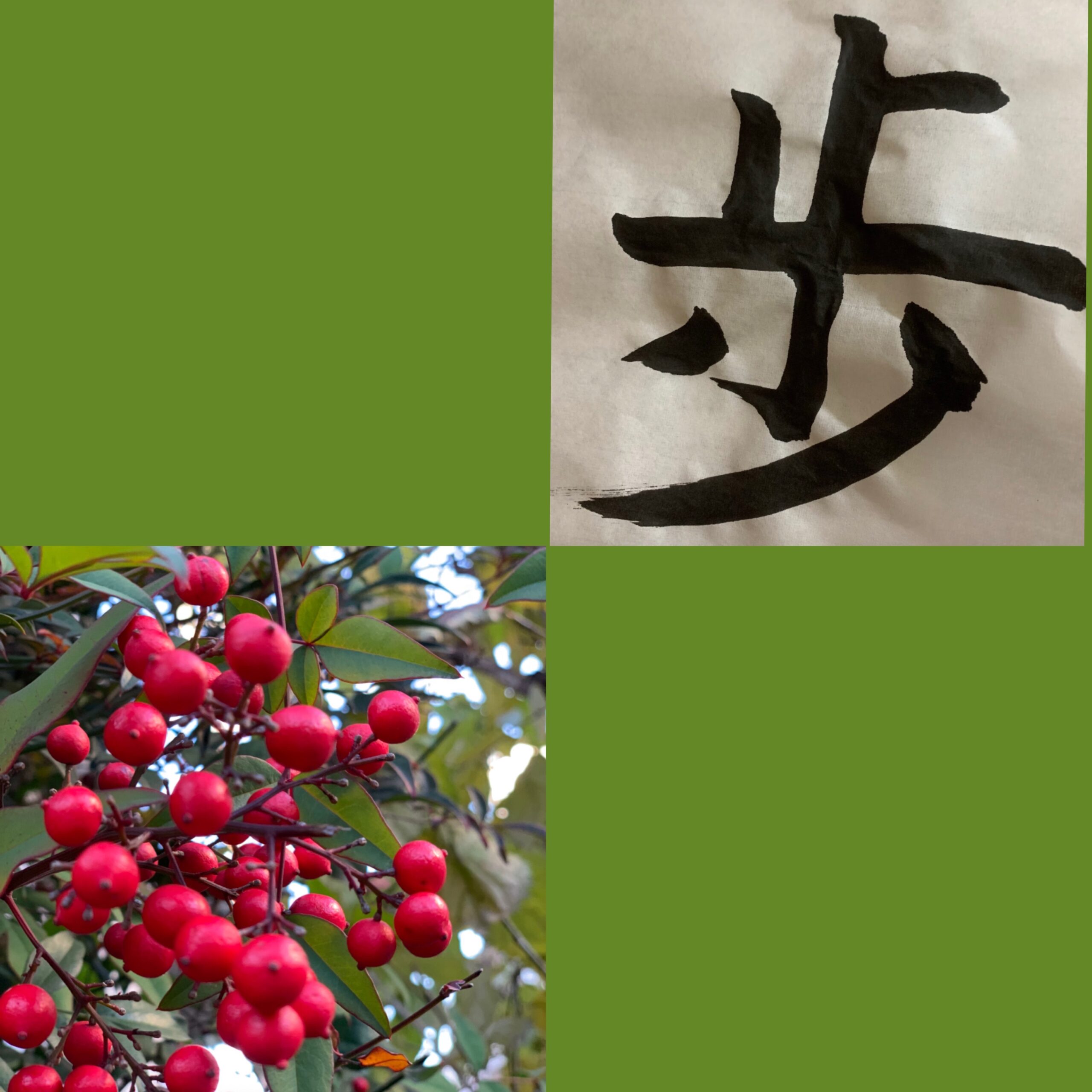 子ども未来通信第36号　アートセラピストのアハハコラム