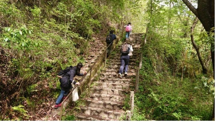 子ども未来通信第38号　モーリーの森