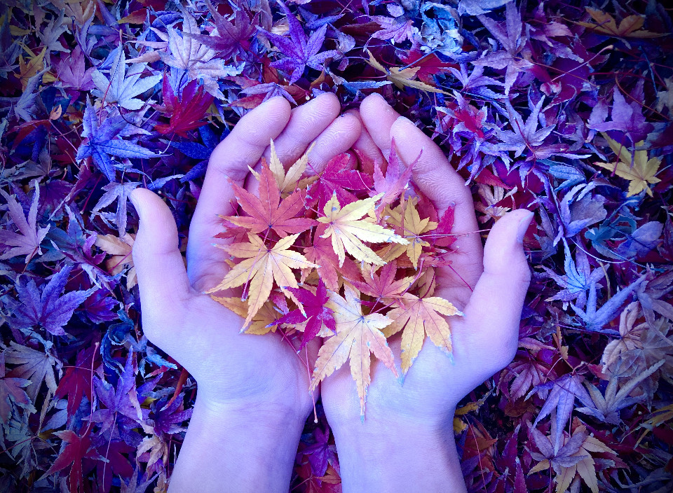 子ども未来通信第40号　アートセラピストのアハハコラム