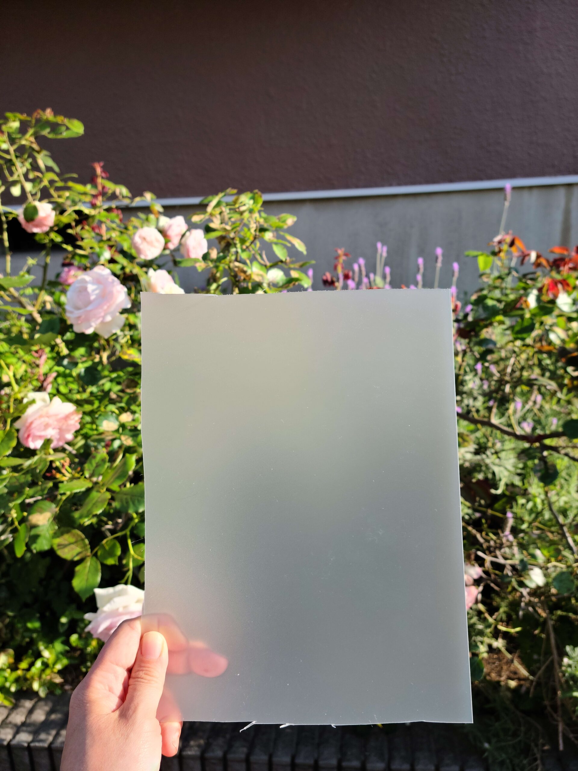 【教室の活動】Joyfulya♡（東京都・清瀬市）