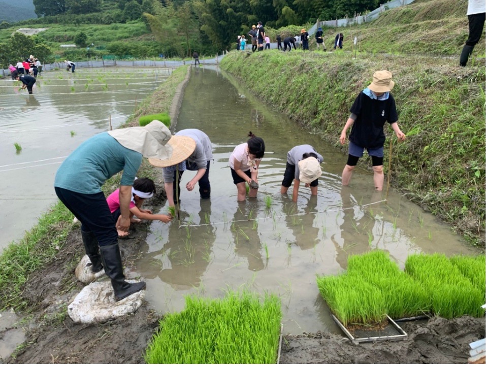 子ども未来通信第46号　モーリーの森
